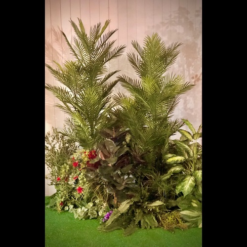 Rent a Tropical Woods - Artificial Trees & Floor Plants - Tropical Backdrop photo idea